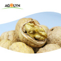 China Food Use and Carton Packaging Walnut Inshell Price